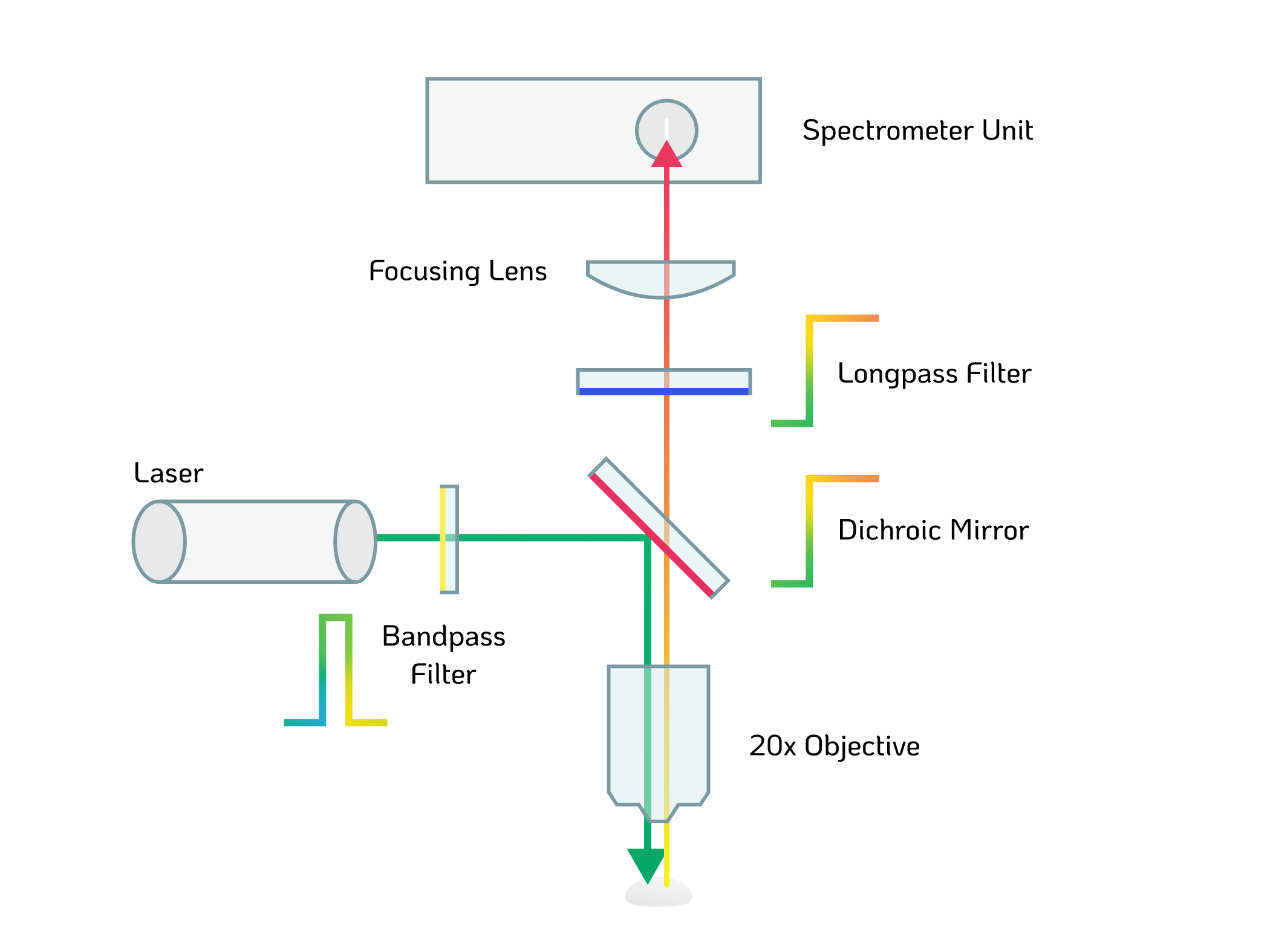 Optical Path Overview